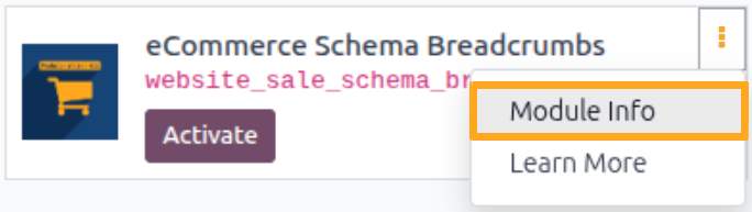 View Odoo App Description