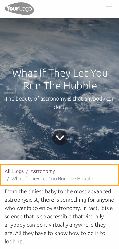 Default mobile blog SEO Breadcrumbs in Odoo 16.0