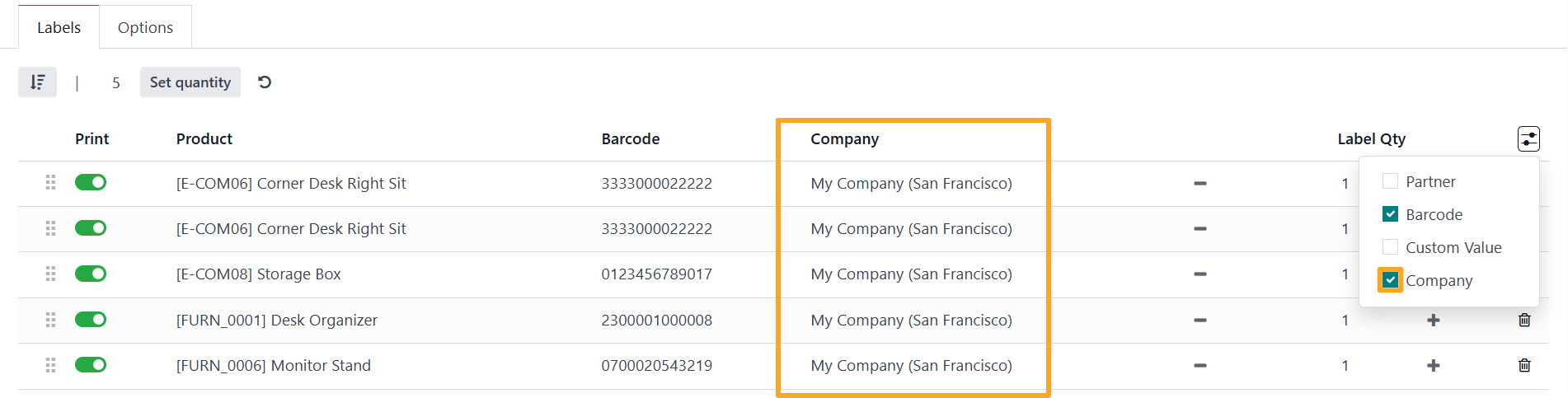 Odoo 18.0 Custom Product Labels Print Wizard Add Field Visibility