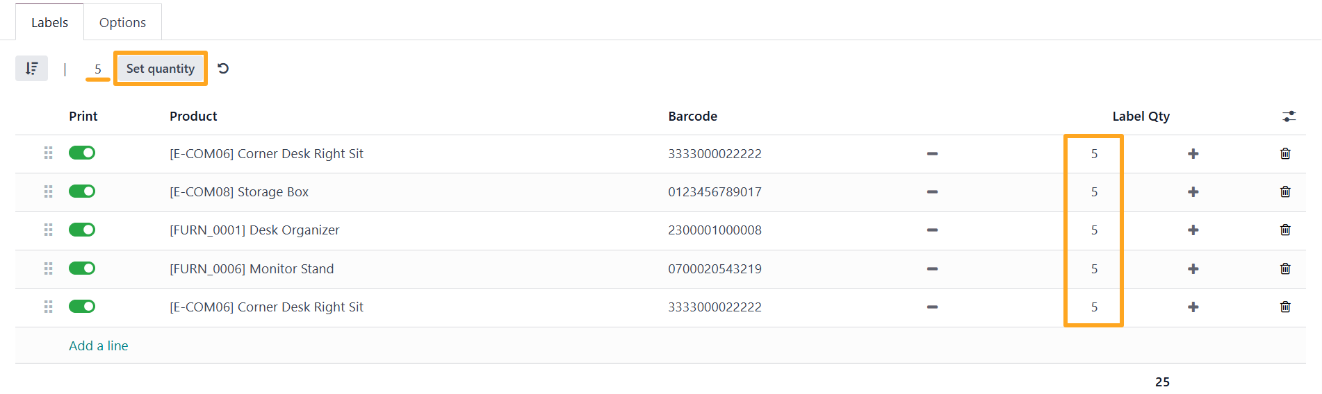 Odoo 18.0 Custom Product Labels Print Wizard Set Quantity