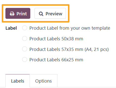 Odoo 18.0 Custom Product Labels Print Wizard Print Preview Button