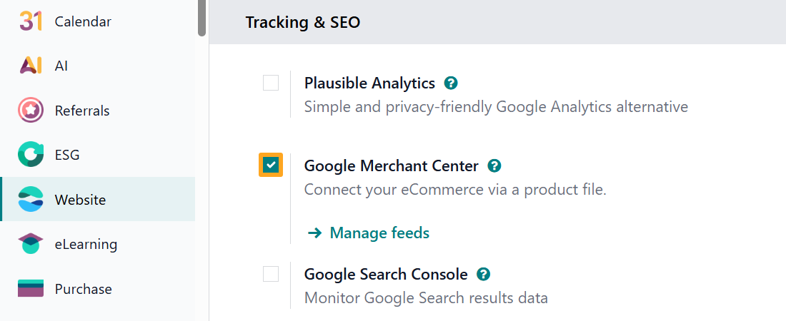 Odoo 19.0 Website Settings Tracking Google Merchant Center GMC