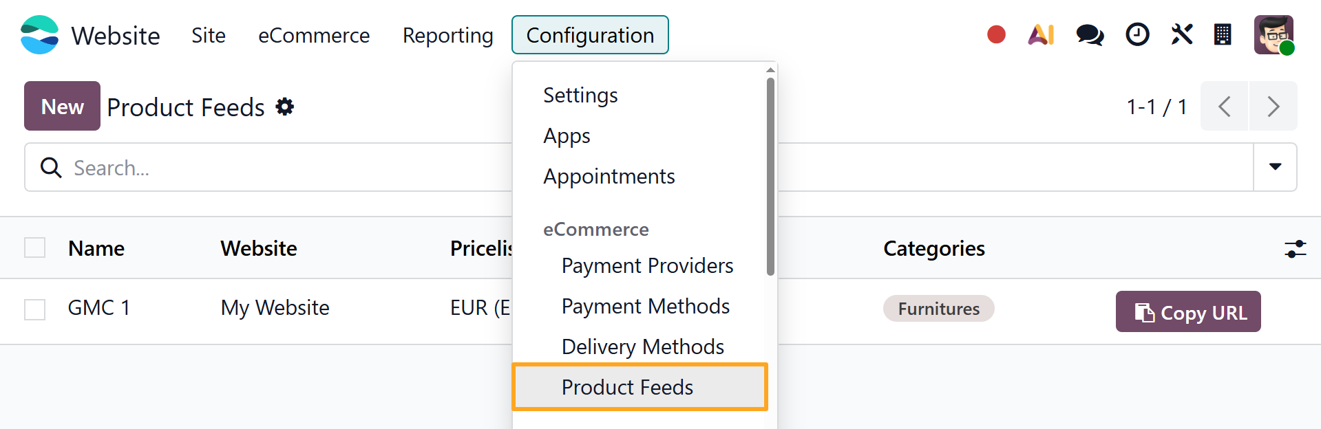 Odoo 19.0 Website Configuration eCommerce Product Feeds