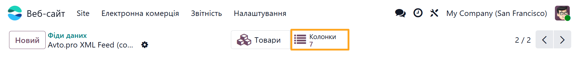 Odoo 19.0 avto pro product data feed columns button