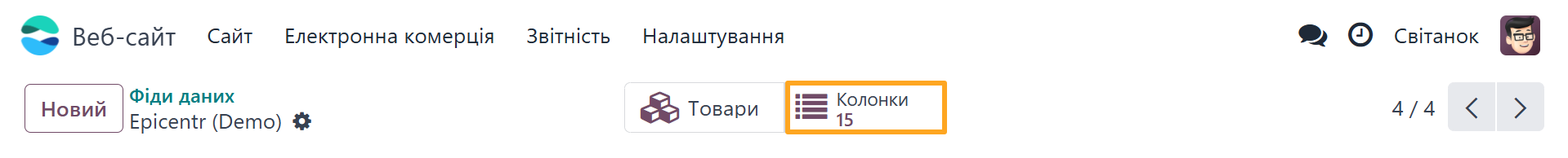 Odoo 18.0 epicentr product data feed columns button