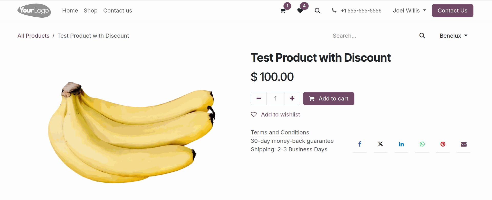 odoo website product