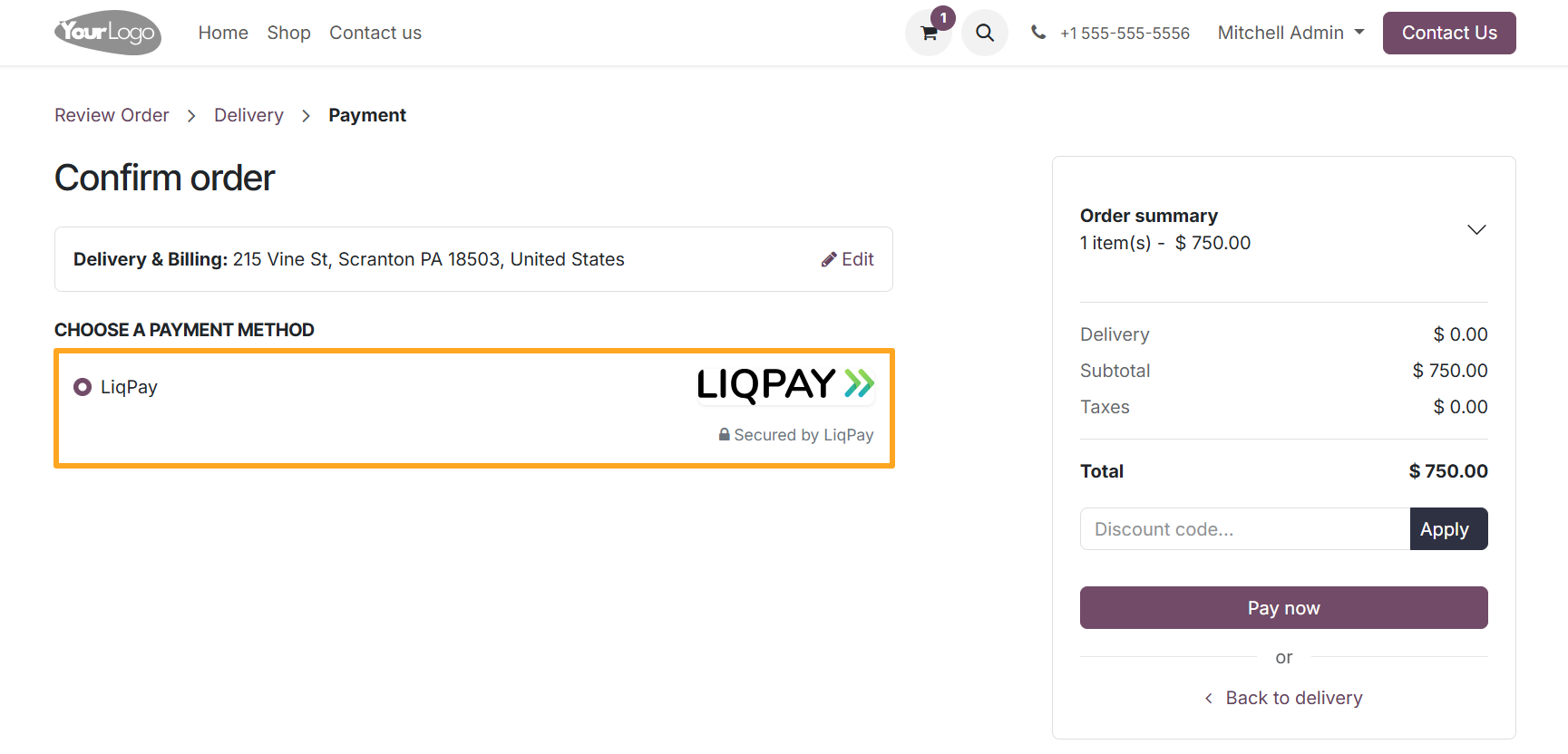 Odoo 19.0 website ecommerce checkout payment method liqpay