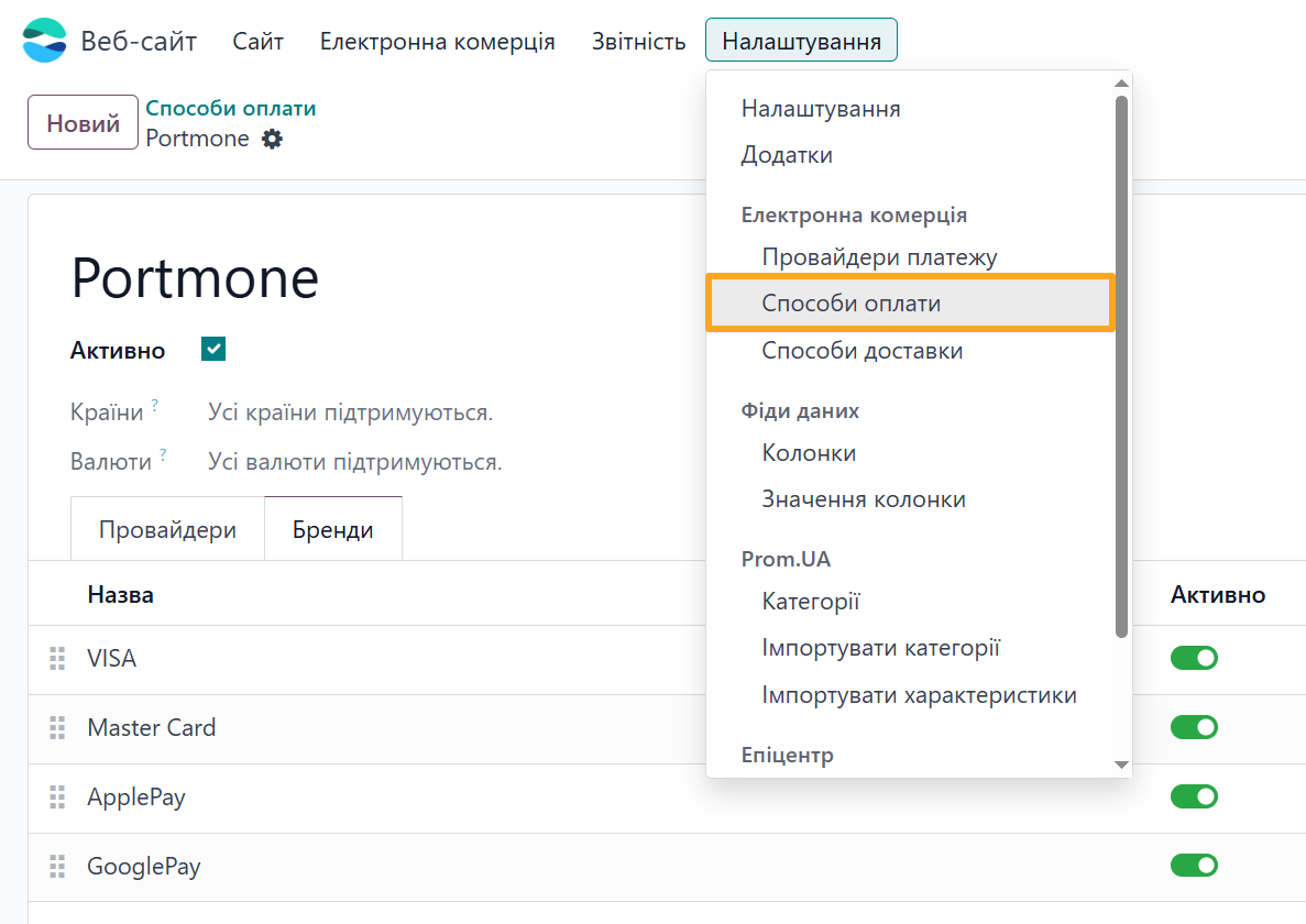 Odoo 19.0 website configuration payment methods brands