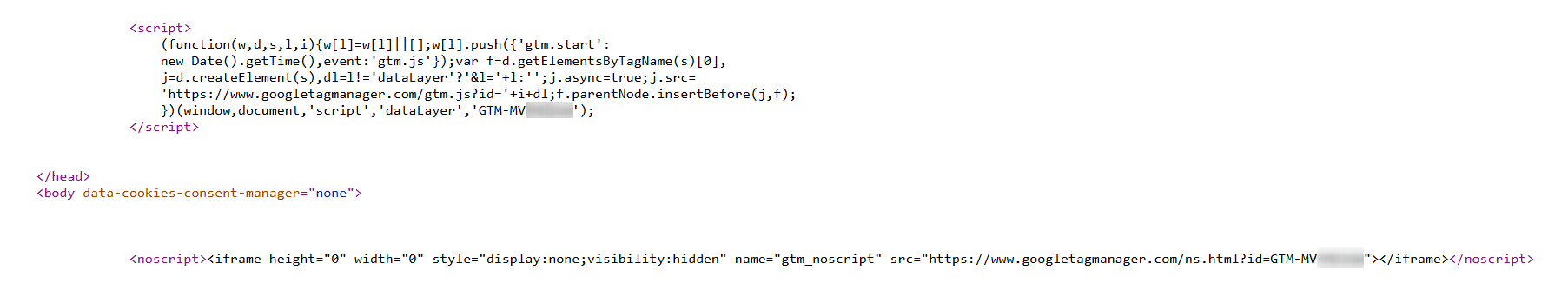 GTM script on Odoo 19.0 website