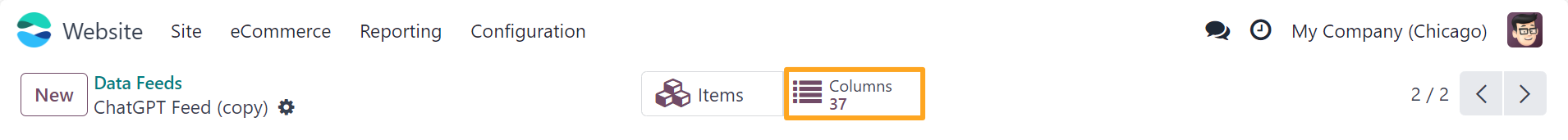 Odoo 18.0 chatgpt product data feed columns button