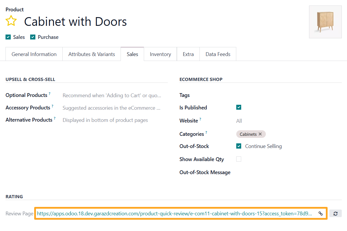 Odoo 19.0 product quick review rating token url