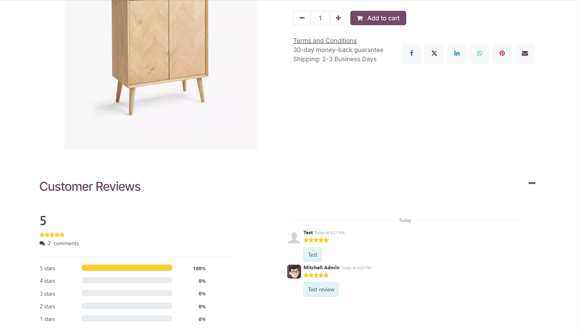Odoo 19.0 ecommerce website product reviews ratings