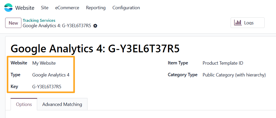 Odoo 19.0 google analytics 4 tracking service website type key