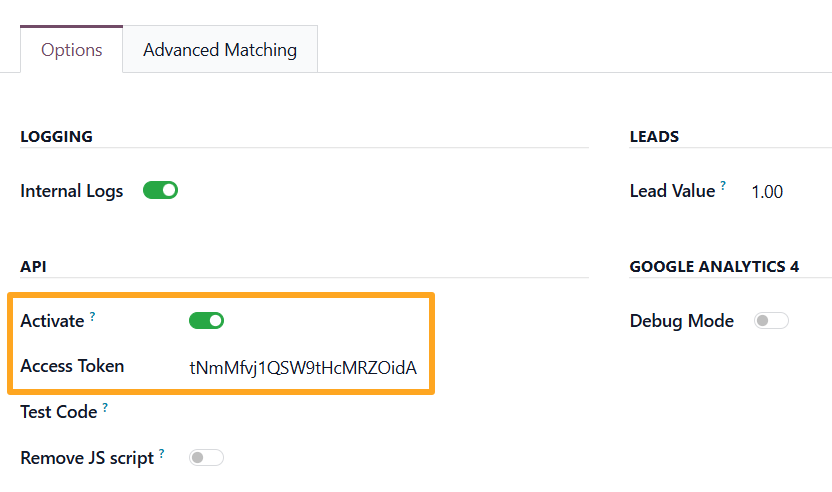 Odoo 19.0 ga measurement protocol tracking service options api activate access token