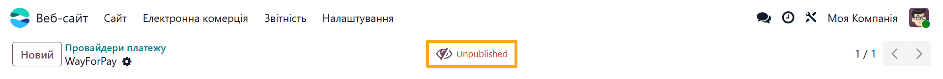 odoo wayforpay payment provider unpublished