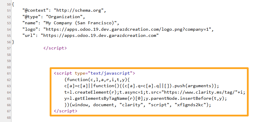 odoo website page source microsoft clarity tracking script