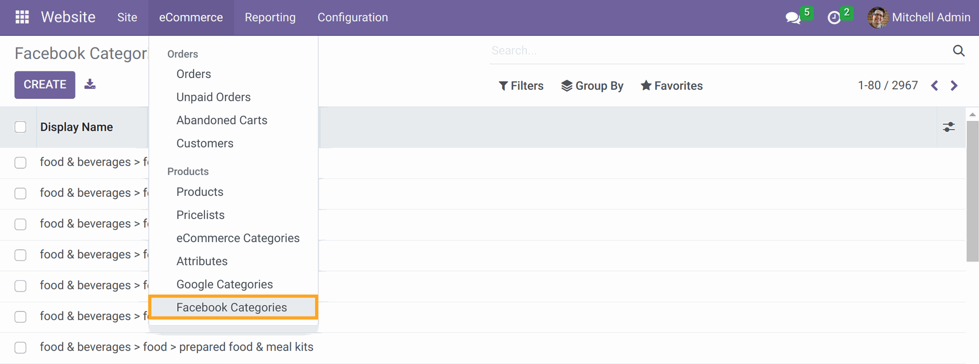 Odoo 17.0 Facebook Product Category list