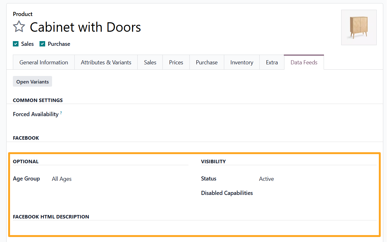 odoo product data feeds facebook catalog pro