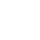 fa bug