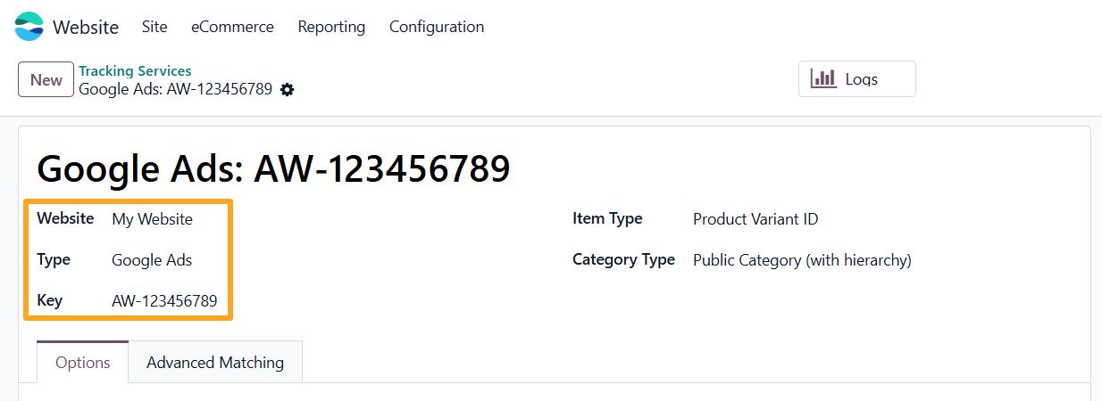 odoo google ads tracking service website type key