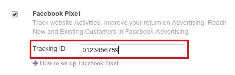 Odoo 12.0 Facebook Pixel ID