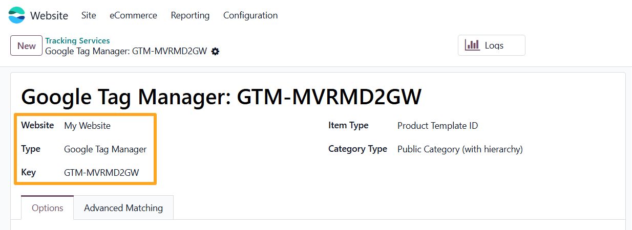 odoo google tag manager tracking service website type key