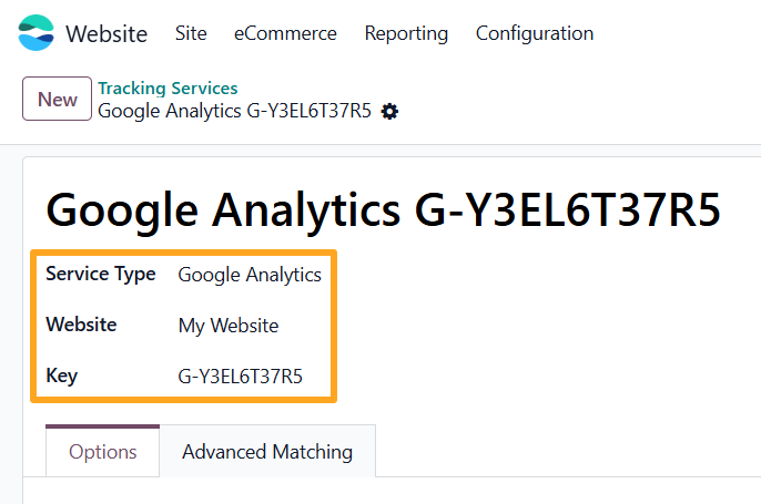 odoo online google analytics 4 tracking service type website key