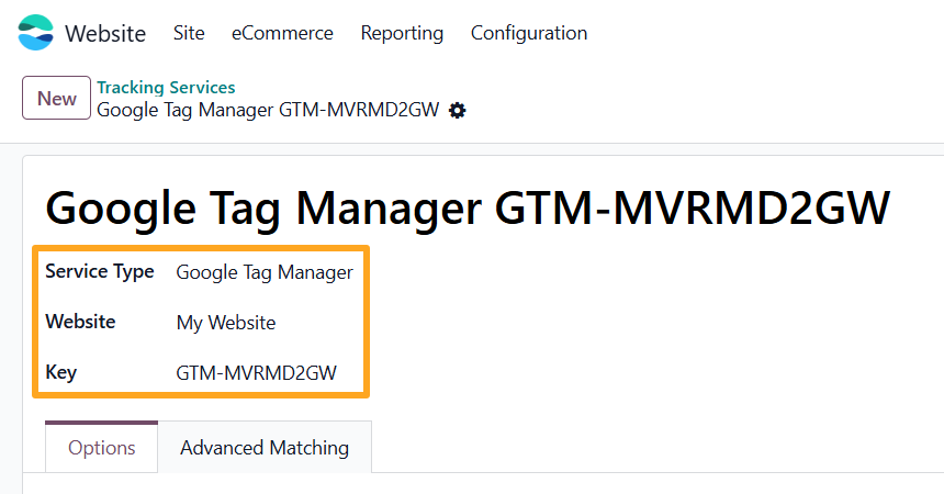 odoo online google tag manager tracking service type website key