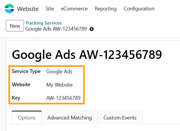 odoo online google ads tracking service type website key
