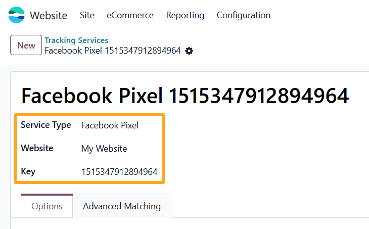 odoo online meta facebook pixel tracking service type website key