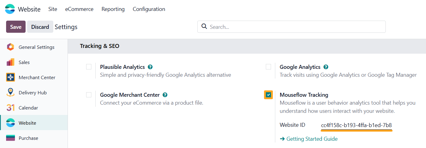 odoo settings tracking seo mouseflow tracking website id