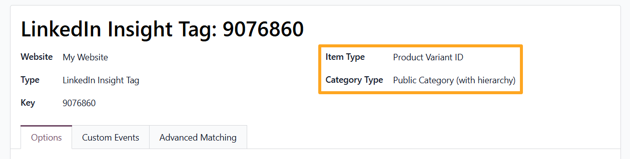 odoo linkedin insight tag tracking service item type category