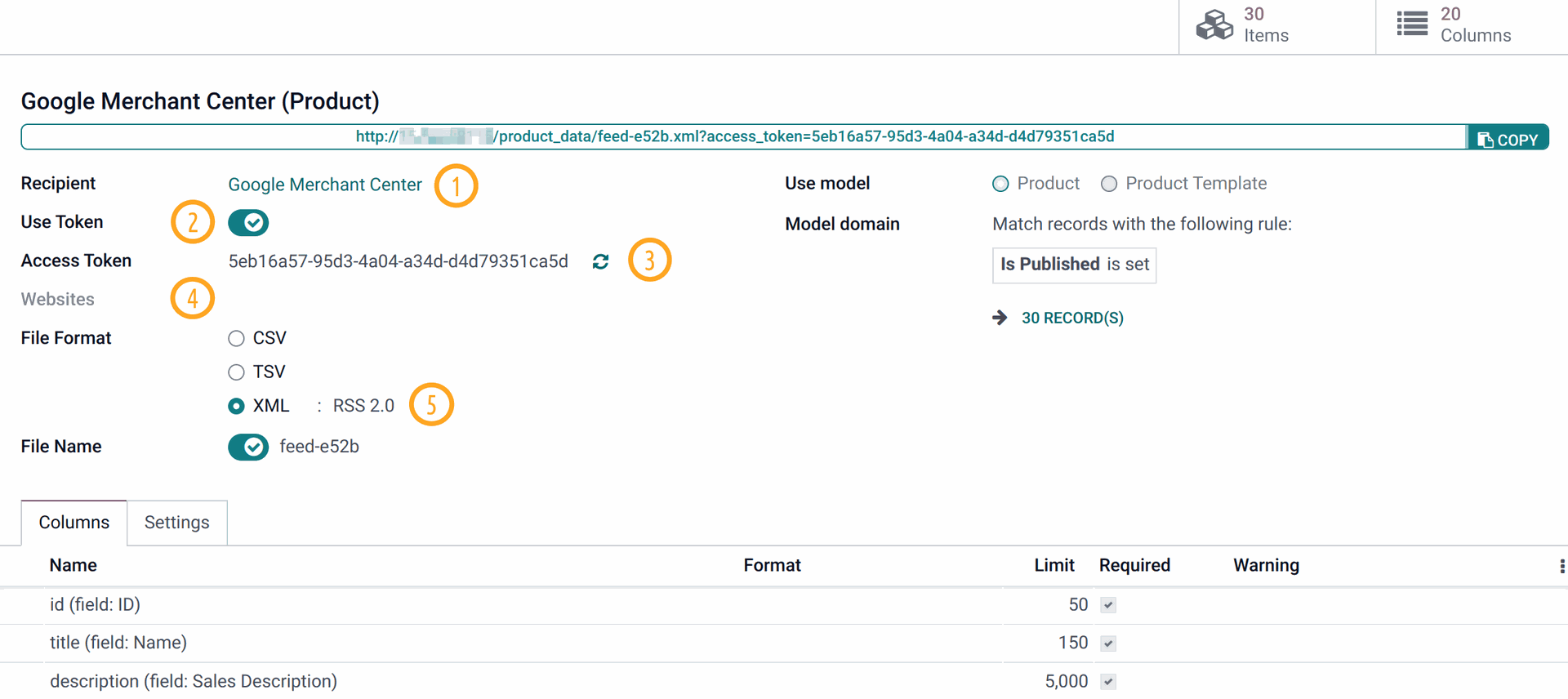 Odoo 17.0 Google Merchant Center Feeds