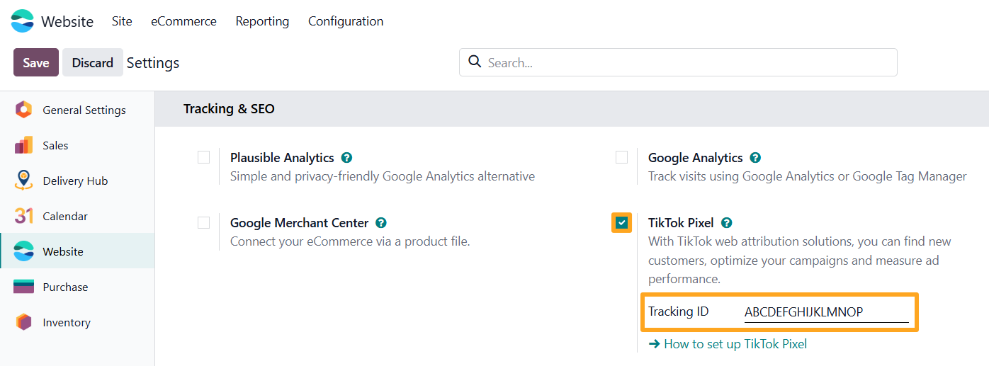 odoo веб-сайт налаштування tracking seo tiktok піксель ідентифікатор відстеження