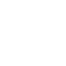 fa suitcase