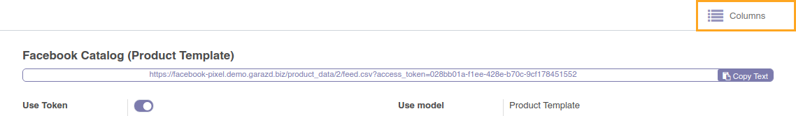 Odoo Facebook Catalog integration, Odoo Instagram Feed - columns 17.0