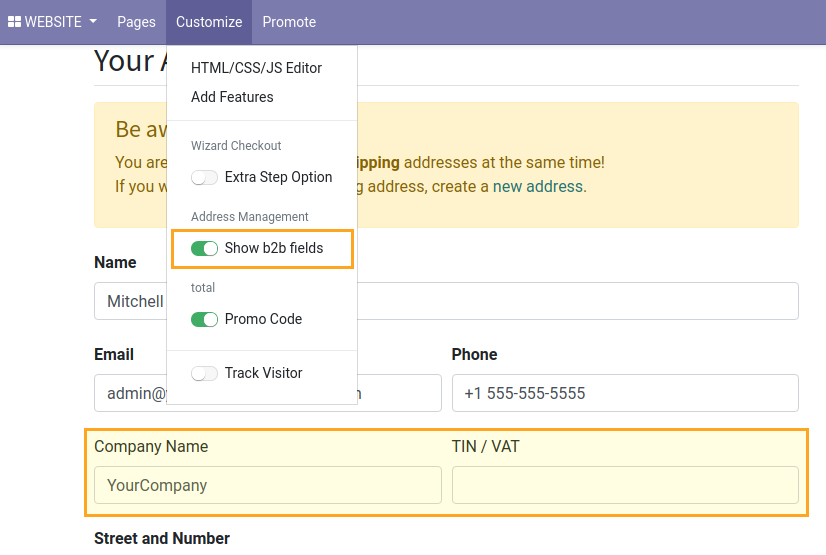 Odoo False eCommerce Address Management hide b2b fields tin vat