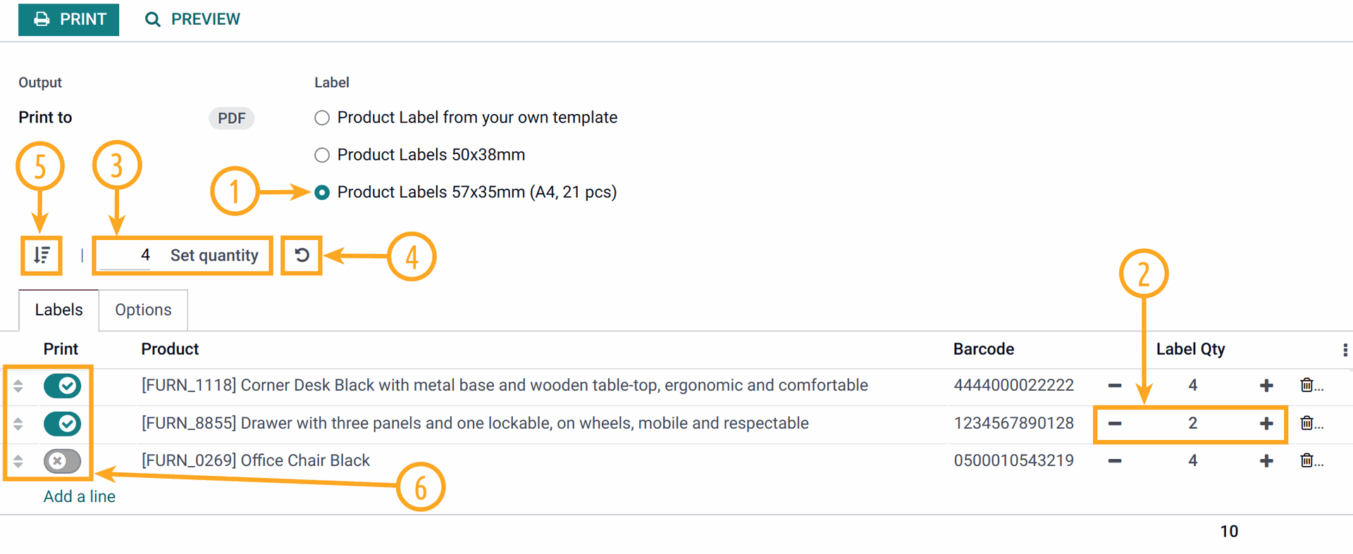 Odoo 17.0 product label settings