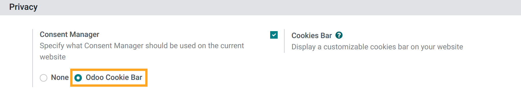 Odoo Consent Manager Cookie Bar 14.0