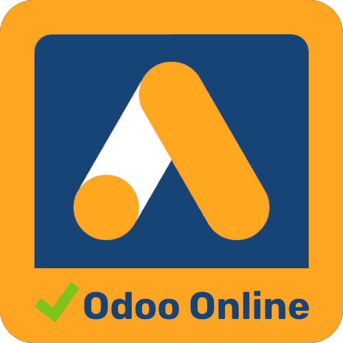 Odoo Google Ads eCommerce Tracking