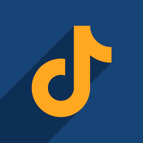 Website TikTok Pixel